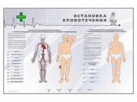 Электрифицированный стенд "Остановка кровотечения" - fgospostavki.ru - Воронеж