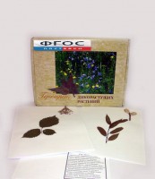 Гербарий "Дикорастущие растения" (28 видов) - fgospostavki.ru - Воронеж
