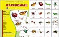 Демонстрационные карточки "Насекомые" - fgospostavki.ru - Воронеж