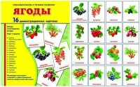 Демонстрационные карточки "Ягоды" - fgospostavki.ru - Воронеж