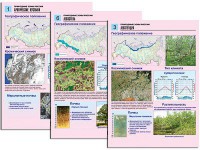 Комплект таблиц по географии "Природные зоны России" раздаточные (цветные, ламинированные, А4, 10 штук) - fgospostavki.ru - Воронеж