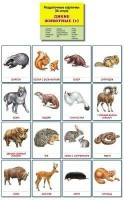 Раздаточные карточки "Дикие животные (1)" - fgospostavki.ru - Воронеж