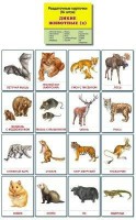 Раздаточные карточки "Дикие животные (2)" - fgospostavki.ru - Воронеж