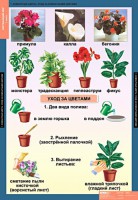 Комплект таблиц. Окружающий мир 1 класс. - fgospostavki.ru - Воронеж