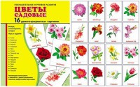 Демонстрационные карточки "Цветы садовые" - fgospostavki.ru - Воронеж