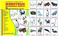 Демонстрационные карточки "Животные холодных широт" - fgospostavki.ru - Воронеж