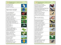 Комплект карточек (10) "Обучающий калейдоскоп. Природа" - fgospostavki.ru - Воронеж