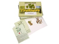 Гербарий "Для начальной школы" (30 видов, с иллюстрациями) - fgospostavki.ru - Воронеж