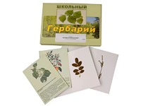Гербарий "Деревья и кустарники" (22 вида, с иллюстрациями) - fgospostavki.ru - Воронеж