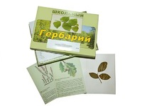 Гербарий "Дикорастущие растения" (30 видов, с иллюстрациями) - fgospostavki.ru - Воронеж