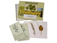 Гербарий "Лекарственные растения" (22 вида с иллюстрациями) - fgospostavki.ru - Воронеж