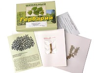 Гербарий "Водоросли. Грибы. Лишайники" (раздаточный) - fgospostavki.ru - Воронеж