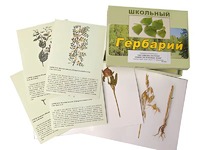 Гербарий "Систематика растений. Семейство Бобовые. Злаки" (раздаточный) - fgospostavki.ru - Воронеж