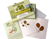 Гербарий "Систематика растений. Семейство Розоцветные" (раздаточный) - fgospostavki.ru - Воронеж