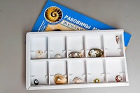 Коллекция "Раковины моллюсков" - fgospostavki.ru - Воронеж
