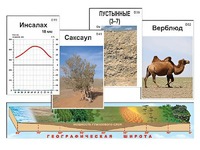 Модель-аппликация "Природные зоны" - fgospostavki.ru - Воронеж