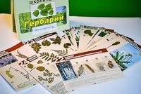 Гербарий к курсу основ общей биологии - fgospostavki.ru - Воронеж