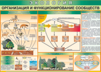 Таблица "Организация и функционирование сообществ" (100х140 сантиметров, винил) - fgospostavki.ru - Воронеж