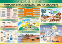 Таблица "Антропогенное воздействие на биосферу" (100х140 сантиметров, винил) - fgospostavki.ru - Воронеж