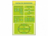 Стенды "Схемы по экономике" - fgospostavki.ru - Воронеж
