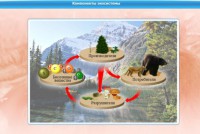 Интерактивные курсы. Биология 7 класс. Базовый. - fgospostavki.ru - Воронеж