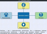 Интерактивные курсы. Биология 5 класс. Базовый - fgospostavki.ru - Воронеж