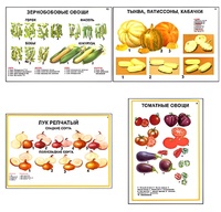 Плакаты ПРОФТЕХ "Ассортимент овощных культур" (12 пл, винил, 70х100) - fgospostavki.ru - Воронеж