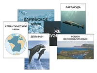 Модель-аппликация "Океаны. Знакомство" (ламинированная) - fgospostavki.ru - Воронеж