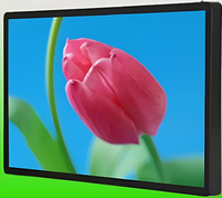 Киоск информационный настенный сенсорный 27" (вариант 2) - fgospostavki.ru - Воронеж