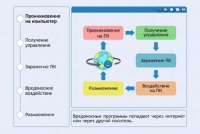 Интерактивные курсы. Информатика 10 класс . Базовый. - fgospostavki.ru - Воронеж