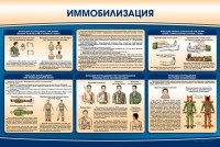 Стенд "Иммобилизация" - fgospostavki.ru - Воронеж