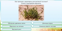 Интерактивные курсы. Окружающий мир 3 класс . Базовый. - fgospostavki.ru - Воронеж