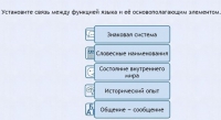 Интерактивные курсы. Русский язык 7 класс . Базовый. - fgospostavki.ru - Воронеж