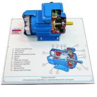 Стенд-планшет «Асинхронный двигатель с короткозамкнутым ротором» - fgospostavki.ru - Воронеж