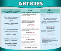 Стенд "Артикли" - fgospostavki.ru - Воронеж