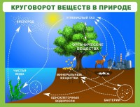 Стенд "Круговорот веществ" - fgospostavki.ru - Воронеж