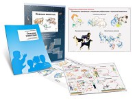 Комплект кодотранспарантов "Опасные животные" - fgospostavki.ru - Воронеж
