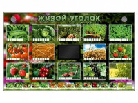 Комплект оборудования "Живой уголок" (растения) - fgospostavki.ru - Воронеж