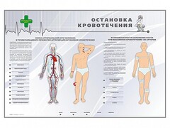 Электрифицированный стенд "Остановка кровотечения" - fgospostavki.ru - Воронеж