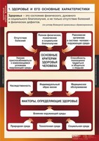 Комплект таблиц. ОБЖ. Здоровый образ жизни. - fgospostavki.ru - Воронеж