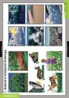 Комплект таблиц. Окружающий мир. Летние и осенние изменения в природе. - fgospostavki.ru - Воронеж