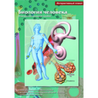 Интерактивные плакаты. Биология человека. Программно-методический комплекс - fgospostavki.ru - Воронеж
