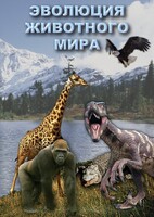 DVD "Эволюция животного мира" - fgospostavki.ru - Воронеж