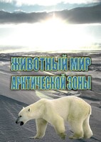 DVD "Животный мир Арктической зоны" - fgospostavki.ru - Воронеж