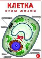 DVD "Клетка - "атом жизни" - fgospostavki.ru - Воронеж