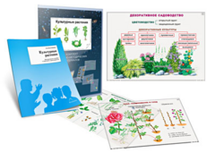 Комплект кодотранспарантов "Культурные растения" - fgospostavki.ru - Воронеж