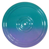 Диск здоровья (многоцветный) - fgospostavki.ru - Воронеж