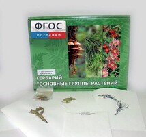 Гербарий "Основные группы растений" (52 листа) - fgospostavki.ru - Воронеж