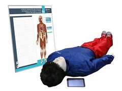 "Игорь-02" манекен-тренажер взрослого пострадавшего для отработки приемов сердечно-легочной реанимации (голова, туловище, конечности) с беспроводным планшетным компьютером и настенным анатомическим табло - fgospostavki.ru - Воронеж