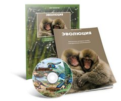 Электронное наглядное пособие «Эволюция» - fgospostavki.ru - Воронеж